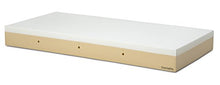 Gerialife Materasso geriatrico per Ospedale articolato 5 cm Viscoelastico | Copertura Sanitaria Impermeabile (80x190)