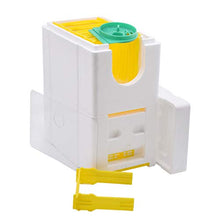 kdjsic Multi-Funzionale Queen Bee Hive Materiale Schiuma di Plastica Scatola Doppia Queen Allevamento Alveare Strumento di Apicoltura Nido d'Ape