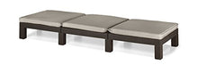 Allibert 189461 Daytona SL Sdraio in plastica Effetto Rattan Colore: Marrone