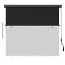 Tenda a rullo esterna 170 x 250 cm, antracite