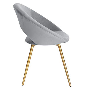 WOLTU BH23hgr-1 Poltrona Grigio Chiaro in Velluto per Cucina Soggiorno Moderna Sedia con Schienale Braccioli
