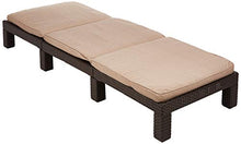 Allibert Daytona SL Lettino Prendisole, Marrone/Tortora (Policotone Cushion), 195 x 65 x 22 cm