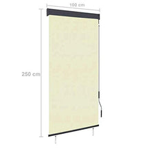 vidaXL - Tenda avvolgibile per esterni, 100 x 250 cm, colore: bianco crema
