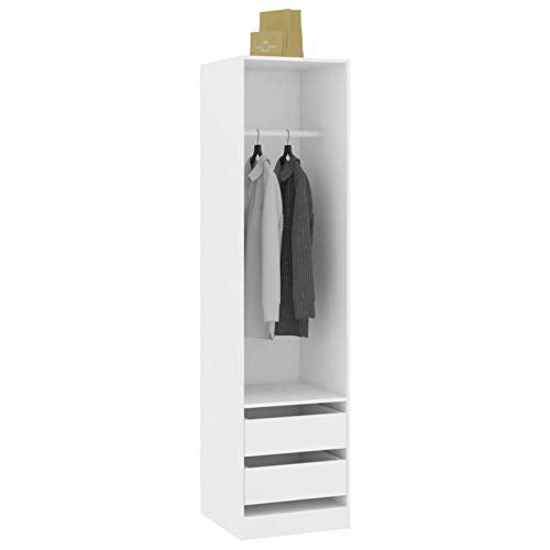 Tidyard Armadio con 2 Cassetti Armadio Vestiti Moderno in Truciolato Armadietto Multiuso per Camera da Letto 50x50x200 cm-Disponibile in Tanti Colori Diversi