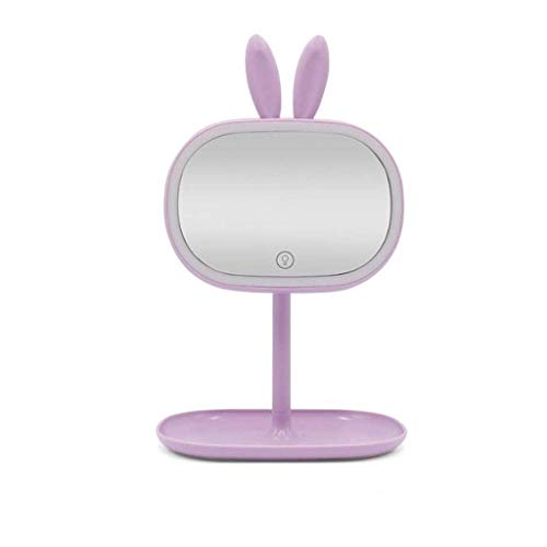 AJH Home Specchio da toeletta Specchio da Trucco Specchio da Trucco Portatile Lampada da Tavolo 2 in 1 Luce a LED Mini Specchio USB Ricaricabile Touch Screen Specchi