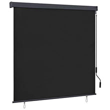 Tenda a rullo esterna 170 x 250 cm, antracite