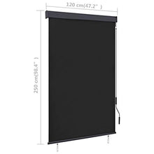vidaXL - Tenda avvolgibile per esterni, 120 x 250 cm, colore: Antracite