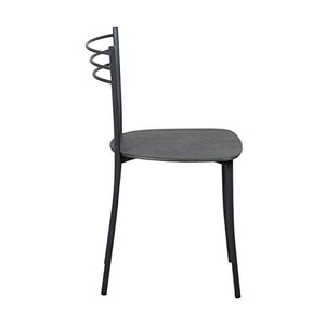 LARUSS 2 Sedie Cucina in Metallo Gloria Set di 2 SEDIE per Cucina Soggiorno Sala da Pranzo (Grigio)