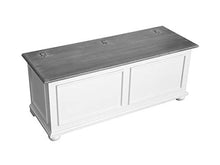 Homemania 1001_PF Cassapanca Acanto, Bianco, Grigio in Legno, 120 x 42 x 50 cm