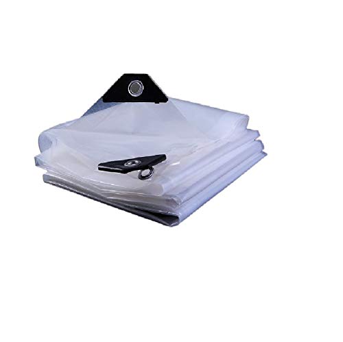 Tela da Vela Trasparente Piante Antipioggia Panno Capanno Balcone Impermeabile incatramata Auto Camion Tarp Visibile (Color : Clear, Size : 2X2m)