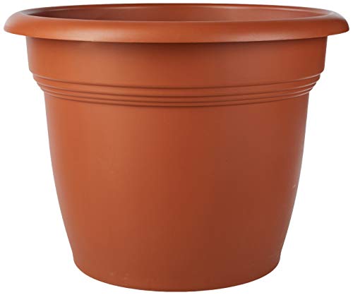 Stefanplast 3826765 Vaso Mediterraneo Giardino, Arredo da Esterno, Marrone, 65 cm