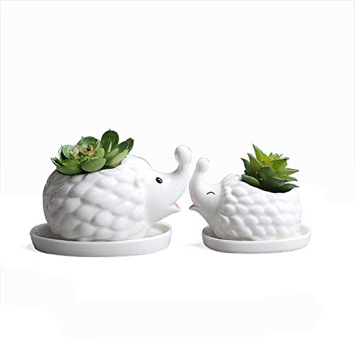 Dlovey Simpatico Vaso di Fiori A Forma di Animale Naturale Cactus Succulente Mini Vaso di Fiori per Interni per La Decorazione della Scrivania Dell'ufficio Domestico