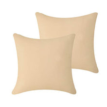 Pannow - Set di 2 federe per cuscino impermeabile per esterni, per interni, esterni, divano, in rattan, 50,8 x 50,8 cm, solo federa