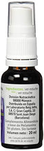 FORTE PHARMA Melatonina Spray 1900 20Ml