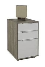 Comodino Alto Omnia con Due cassetti Struttura Rovere Gessato e Finitura Frontale Bianco Laccato