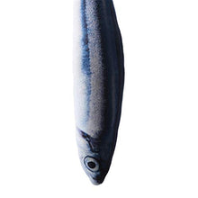 Unknow Lionmer Simulazione Pesce Giovane Pesce Gatto Giocattolo Giocattolo Realistico Peluche,Saury,20 * 4 cm