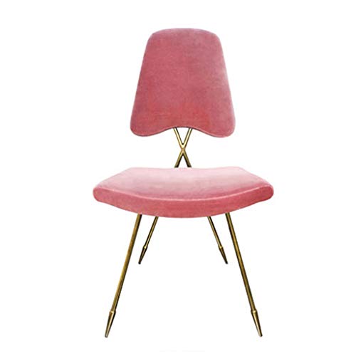 Mobili per la casa e Giardino Sedia da Pranzo in Acciaio Inox Dorato Sedia da Pranzo Sedia con Schienale Sgabello per Unghie Coffee Shop Chair Beverage Shop Sedia Casual Ottomani da Cucina