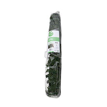 Catral 43020011 cespuglio Artificiale Hedra, Verde, 300 x 3 x 150 cm