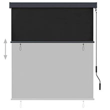 vidaXL - Tenda avvolgibile per esterni, 140 x 250 cm, colore: Antracite