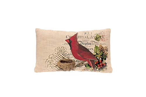 Touch Colourful Merry Christmas May Your Days be Merry And Bright Cotone Lino Decorativo tiro Federa Cuscino Quadrato 20 x 30 Inches Color 18