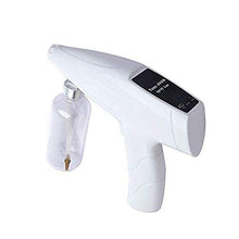SXPC Spruzzatore per la disinfezione della Pistola a spruzzo a Vapore Nano a Luce Blu con Carica USB da 200 ml per Uso Domestico