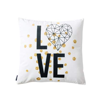 XMZFQ Fodera per Cuscino, Stampa Fronte-Retro, Fodera per Cuscino Decorativo Quadrata in Velluto con Cerniera Invisibile per Divano Letto, 45 * 45 cm, Set di 2,I