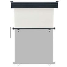 Goliraya Tenda a Rullo per Terrazzo Nero/Grigio/Crema/Marrone,Tenda da Sole Avvolgibile,Tenda da Sole per Esterno,Tenda da Sole per Gazebo e Pergolato 60/70/80/100/120/140/160/170x250 cm