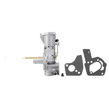 Rockyin Carburatore Briggs Stratton, Carburatore for Briggs Stratton 498298 130202 112202 112232 134202 137202 5Hp