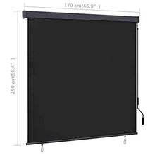 Tenda a rullo esterna 170 x 250 cm, antracite