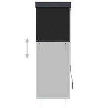 vidaXL - Tenda avvolgibile per esterni, 60 x 250 cm, colore: Antracite