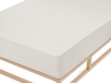 Biberna 0012344 Lenzuolo Frottee-Stretch (Altezza Materasso max. 22 cm) 1X 180X200 cm > 200X200 cm, Grigio