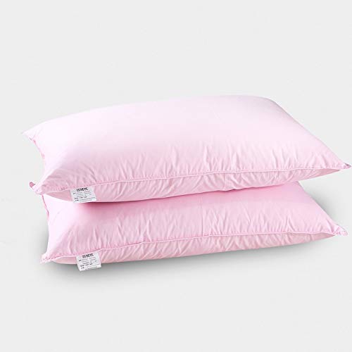 N/A Adulti Sleep Pelle-Amichevole Cuscino Studente di Scuola Oca Bianca Giù Cuscini A Nome Pezzo Neck Protection (Color : Pink, Size : 48 * 74cm)