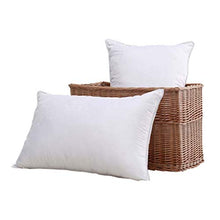 STARAYS Velluto Piuma Viscoelastico Cuscino in Microfibra, Ergonomico Morbido E Confortevole, Ipoallergenico, Anti-Acaro, 74 * 48CM