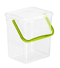 Rotho Powdy Scatola 7l con coperchio e maniglia, Plastica PP senza BPA, Transparente/Verde, 5kg/7l 24.0 x 20.0 x 25.5 cm