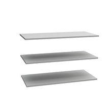 Forte Express Set di 3 Ripiani per armadi con Ante scorrevoli, Legno ingegnerizzato, Grigio, 82,9 x 1,5 x 42 cm