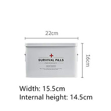 MYHZH Medicina Box delle Famiglie a più Strati di Grande capacità Multi-Funzione di Primo Soccorso Storage Box Box Medical 22X15.5X16 cm