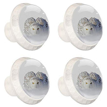 Snowbird 4 PCS Pomelli per Porta, Pomolo per Mobile, Pomelli per Mobili con Viti, Maniglia per Armadietto, Pomelli per Porta, Pomelli per Cassetti per Porta, Armadio, Cassetto e Credenza