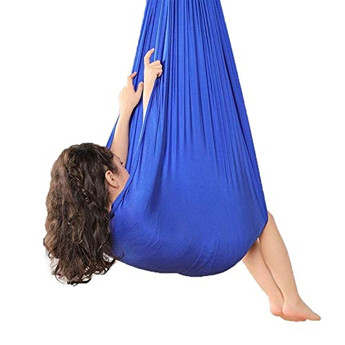 LICHUXIN - Amaca da appendere sensoriale a dondolo in rete traspirante per interni e bambini con esigenze speciali autismo ADHD (colore : blu, dimensioni: 150 x 280 cm/59 x 110 in)