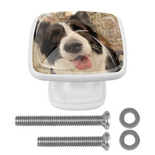 Border collie (2) 4 PCS Pomelli per Porta, Pomolo per Mobile, Pomelli per Mobili con Viti, Maniglia per Armadietto, Pomelli per Porta, Pomelli per Cassetti per Porta, Armadio, Cassetto e Credenza