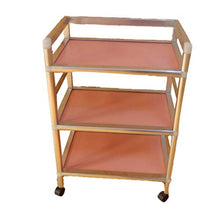 Carrelli portaoggetti Carrello Medico Strumento Di Bellezza Parrucchiere Carrello In Acciaio Inox Medico Medico Carrello For Unghie Carrello A Tre Livelli Rack Multi-funzione I will take action now