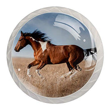 Cavallo marrone 4 PCS Pomelli per Porta, Pomolo per Mobile, Pomelli per Mobili con Viti, Maniglia per Armadietto, Pomelli per Porta, Pomelli per Cassetti per Porta, Armadio, Cassetto e Credenza