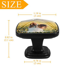 Papillon di cane in un campo di fiori Primavera animali domestici Pomelli per Porta 4 Pezzi Manopole per Mobili da Cucina Pomelli per Mobili Pomelli Per Cassetti/Cucina/Armadio Antichi