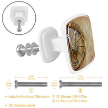 Set di 4 maniglie rotonde per armadio da cucina, credenza, cassettiera, cassettiera, con viti, per cucina, comò, armadietto, bagno, guardaroba, capricorno, oroscopo zodiacale, astrologia
