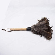 TINGB 1 pz Struzzo Naturale spolverino rimozione spolverino spolverino Strumenti di Pulizia per Uso Domestico