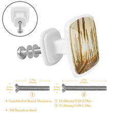 Alba del molo 4 PCS Pomelli per Porta, Pomolo per Mobile, Pomelli per Mobili con Viti, Maniglia per Armadietto, Pomelli per Porta, Pomelli per Cassetti per Porta, Armadio, Cassetto e Credenza