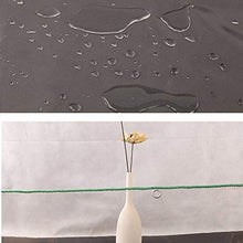 GYYARSX Teloni Trasparente Telone Copertura per Tettoia per Piante da Balcone in PVC Addensato per Serre, Spessore 0,3mm, 40 Misure (Color : Clear, Size : 6.0X6.0M)