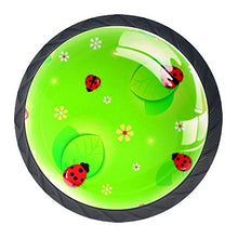 coccinella (2) 4 PCS Pomelli per Porta, Pomolo per Mobile, Pomelli per Mobili con Viti, Maniglia per Armadietto, Pomelli per Porta, Pomelli per Cassetti per Porta, Armadio, Cassetto e Credenza