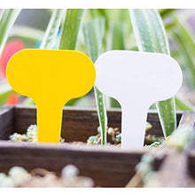 100 etichette per piante, in plastica a T, per piante, per giardino, esterni, interni, erbe, fiori, verdure, ideale per identificare le piante (verde menta)
