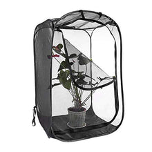 Insect Habitat Gabbia Insetti Caterpillar Casa netto insetto gabbia della maglia del terrario per flusso d'aria Pop Up Kit insetto