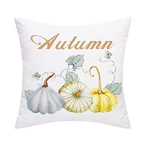 Autunno Harvest Autunno Fall Zucca Federa per cuscino caduta Ringraziamento grande per la decorazione per la caduta del cuscino cuscini regali